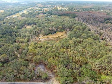 ariel view