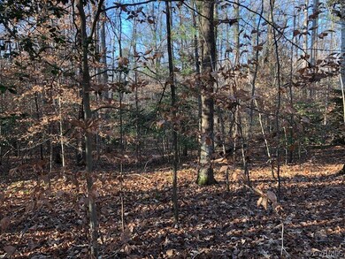 0 New Kent Hwy unit 2203199, New Kent, VA 23141 - photo 3