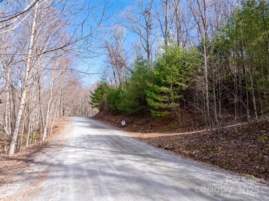 Lot 56 Big Branch Rd unit 56A, Brevard, NC 28712 - photo 6