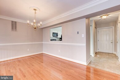 11855 Summer Oak Dr, Germantown, MD 20874 - photo 6