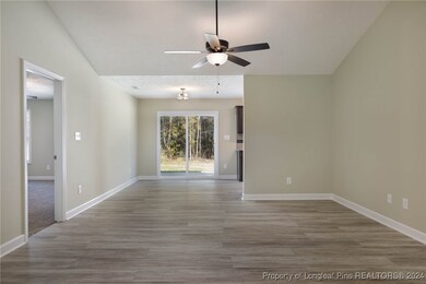 1271 Chason Rd, Lumber Bridge, NC 28357 - photo 4