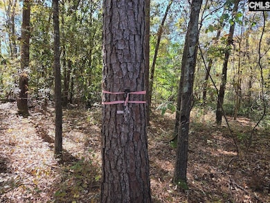 17 Five Bridges Rd, Camden, SC 29020 - photo 7