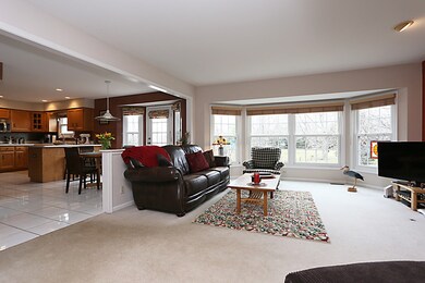 10517 S Red Stable Way, Naperville, IL 60564 - photo 5