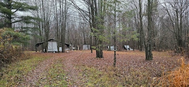 0 Countyroad Ww, Merrill, WI 54452 - photo 6