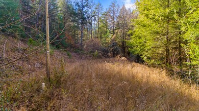 0 Cr-1039, Beattyville, KY 41311 - photo 5