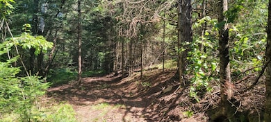 Lot 1 Silver Birch Rd, Tomahawk, WI 54487 - photo 3