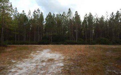 0 Us Hwy 441 Parcel 2a unit 93914, Lake City, FL 32055 - photo 3