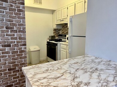 47 Lopez St unit 5, Cambridge, MA 02139 - photo 7