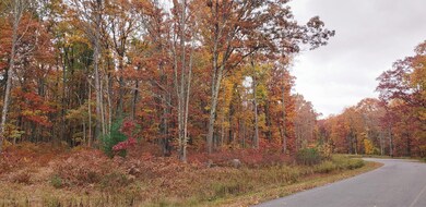 125 Springwood Dr, Hawley, PA 18428 - photo 2