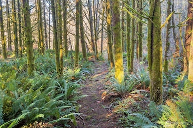 1895 N Fork Rd, Chehalis, WA 98532 - photo 6