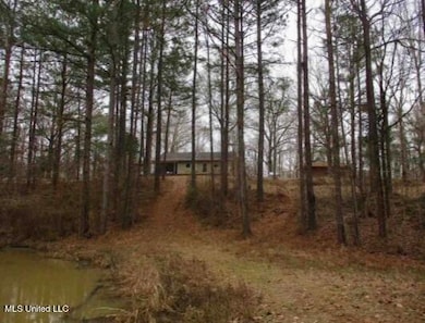 55 Scheffel Rd, Natchez, MS 39120 - photo 6