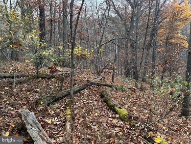 Lot 40 Prado Way, Berkeley Springs, WV 25411 - photo 5