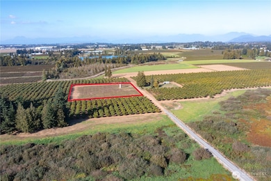 9919 Holmquist Rd, Lynden, WA 98264 - photo 4