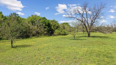 1220 River View Rd, Millsap, TX 76066 - photo 7