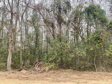 00 Hedge Rd, Aiken, SC 29801 - photo 6