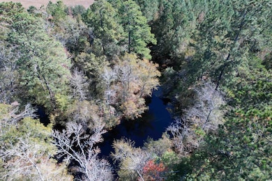 819 Quail Rd, Hemingway, SC 29554 - photo 5