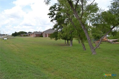 3610 Big Divide Rd, Copperas Cove, TX 76522 - photo 3