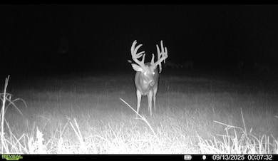 0 Fall Line High Fence unit 25641535, Ellaville, GA 31806 - photo 2