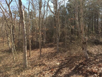 1 Kennebago Ave, Tisbury, MA 02568 - photo 3