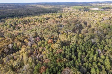 20304 N Hwy 154, Winona, TX 75792 - photo 7