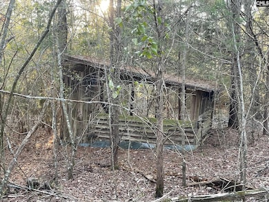 TRACT 2 S Carolina 219, Pomaria, SC 29126 - photo 7