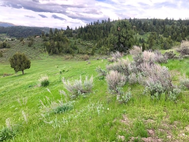 Lot 3 Angileen's Way, Lava Hot Springs, ID 83246 - photo 3