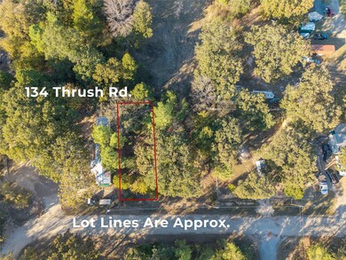 134 Thrush Rd, Mabank, TX 75156 - photo 7