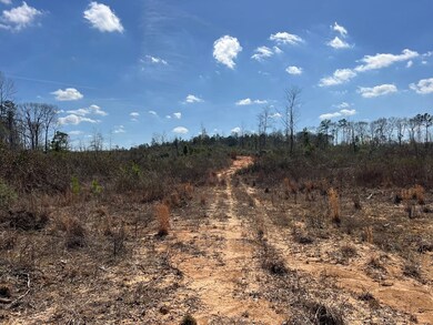 Trail to SE corner