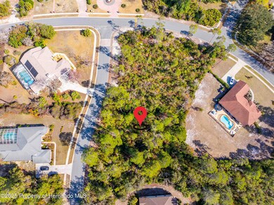 DJI_20250202052237_0003_D copy