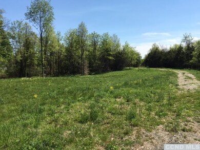 0 Cemetery Rd unit 109123, Clermont, NY 12526 - photo 6