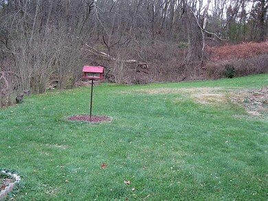 Yard/Garden.