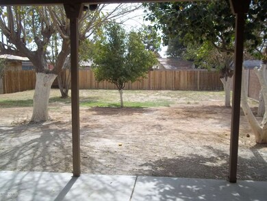 Large Backyard
