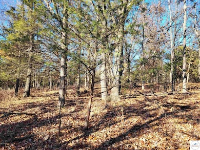 0 Wolcott Cir unit Lot 3823,3824 & 391, Union Township, MO 65326 - photo 4