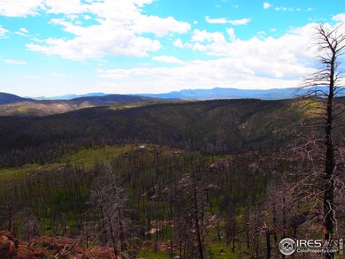 0 Davis Ranch Rd unit 785073, Bellvue, CO 80512 - photo 7