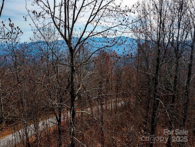 Lot 253 Haddington Dr, Mill Spring, NC 28756 - photo 3