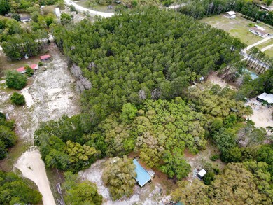 0 Sea Eagle Dr, Perry, FL 32348 - photo 3