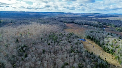 Lot 3 Jerseyfield Rd, Little Falls, NY 13365 - photo 3