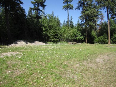 13521 Sunburst Dr, Bigfork, MT 59911 - photo 7