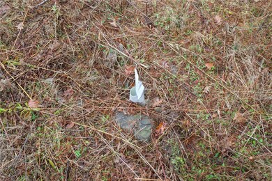 unlisted-address, Middleburgh, NY 12122 - photo 4