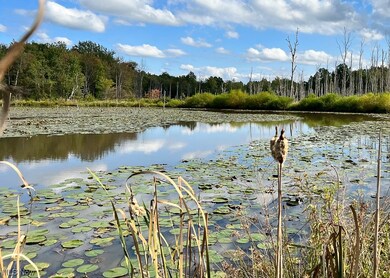 5001 N Richmond Rd, Pierpont, OH 44082 - photo 5