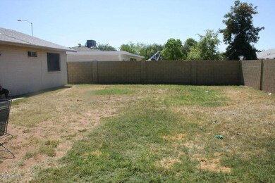 Huge Backyard