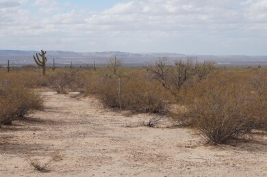 17821 S Wilmot Rd, Sahuarita, AZ 85629 - photo 7