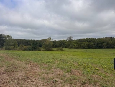 00 Hwy 33 & Se Ketchum Rd, Maysville, MO 64469 - photo 5