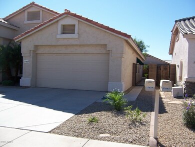 Side yard
