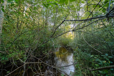 14977 9 Mile Rd, Kaleva, MI 49645 - photo 6