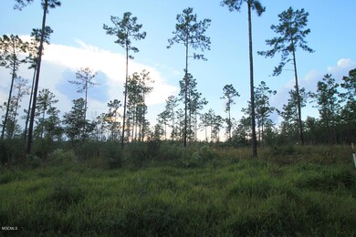 3.75 Ac Homestead Rd, Lucedale, MS 39452 - photo 6