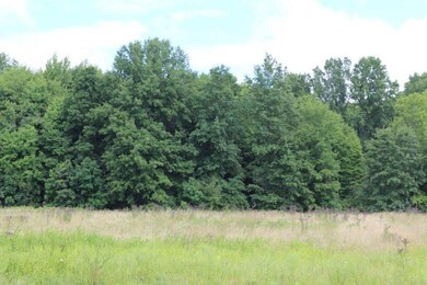 Wooded