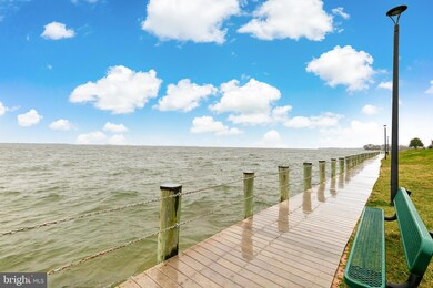 1361 Riverwood Way unit 56381, Stoney Beach, MD 21226 - photo 3