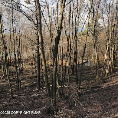 119 Mountain Rd, Albrightsvlle, PA 18210 - photo 7