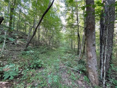 00 Marble Branch Trail, Walhalla, SC 29691 - photo 6